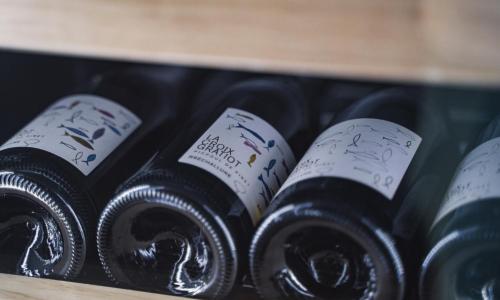 Hôtel du Golf Saint Lazare - photo 2