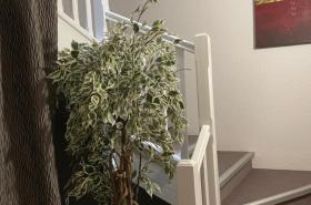 Kyriad Direct Limoges Nord - photo 6