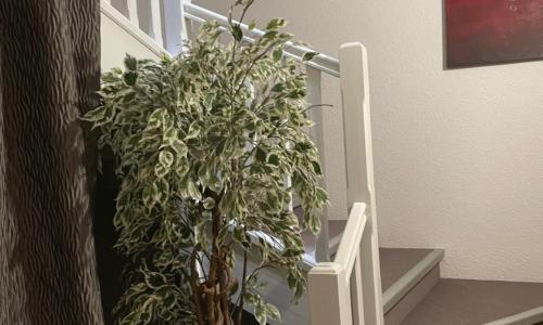 Kyriad Direct Limoges Nord - photo 3