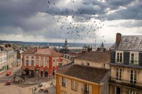 ibis Limoges Centre - photo 26