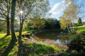 Edouard & Louise - photo 6